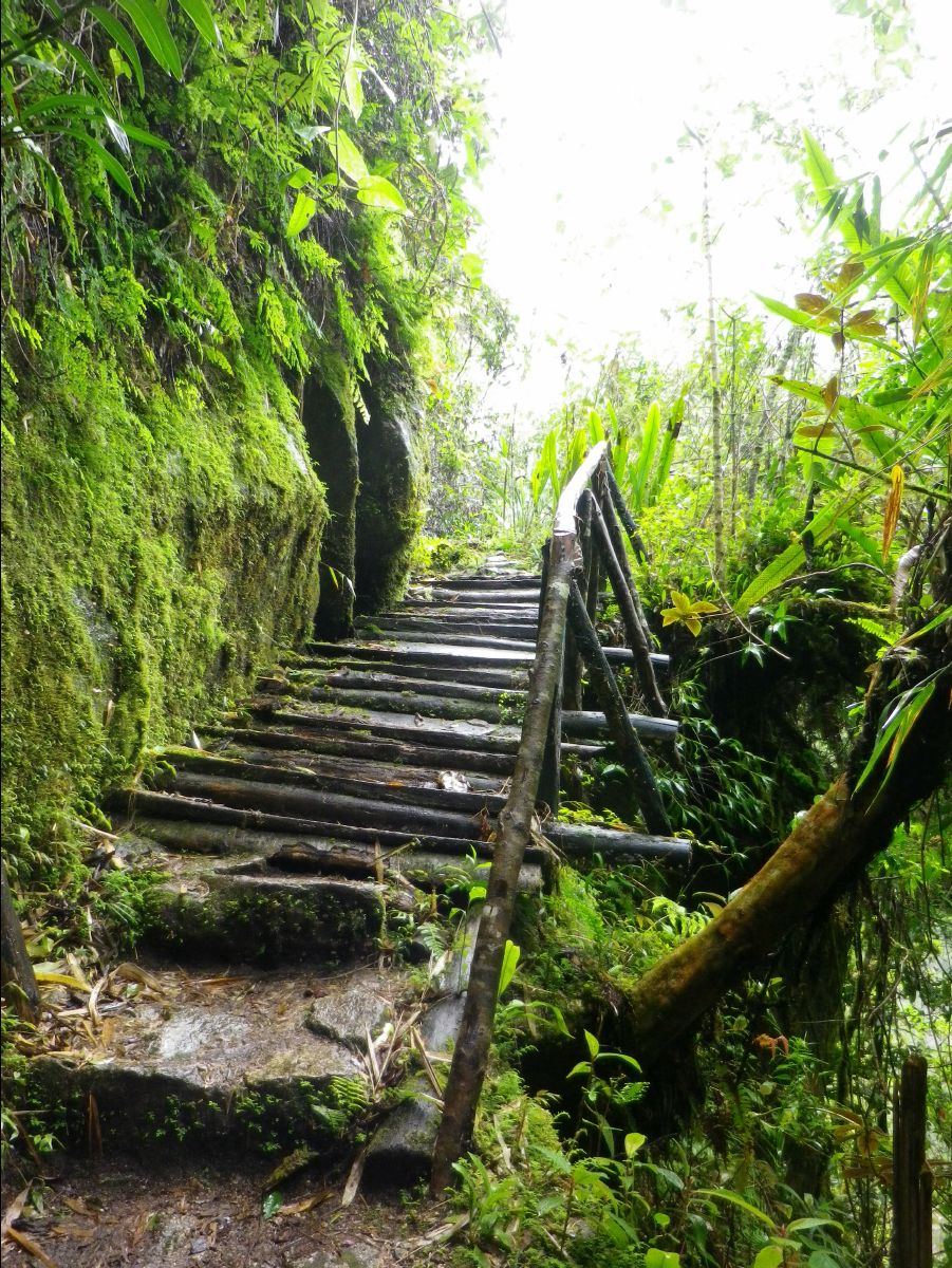 Inca Trail to Machu Picchu15